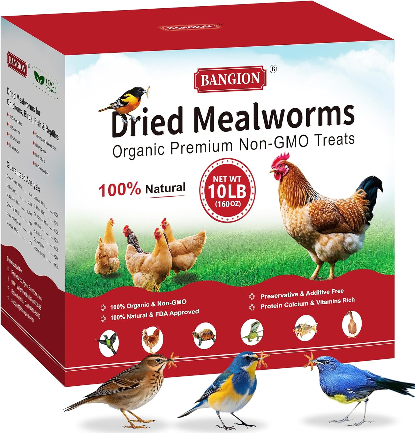 Organic Dried Mealworms for Chickens & Birds - High Protein Treats