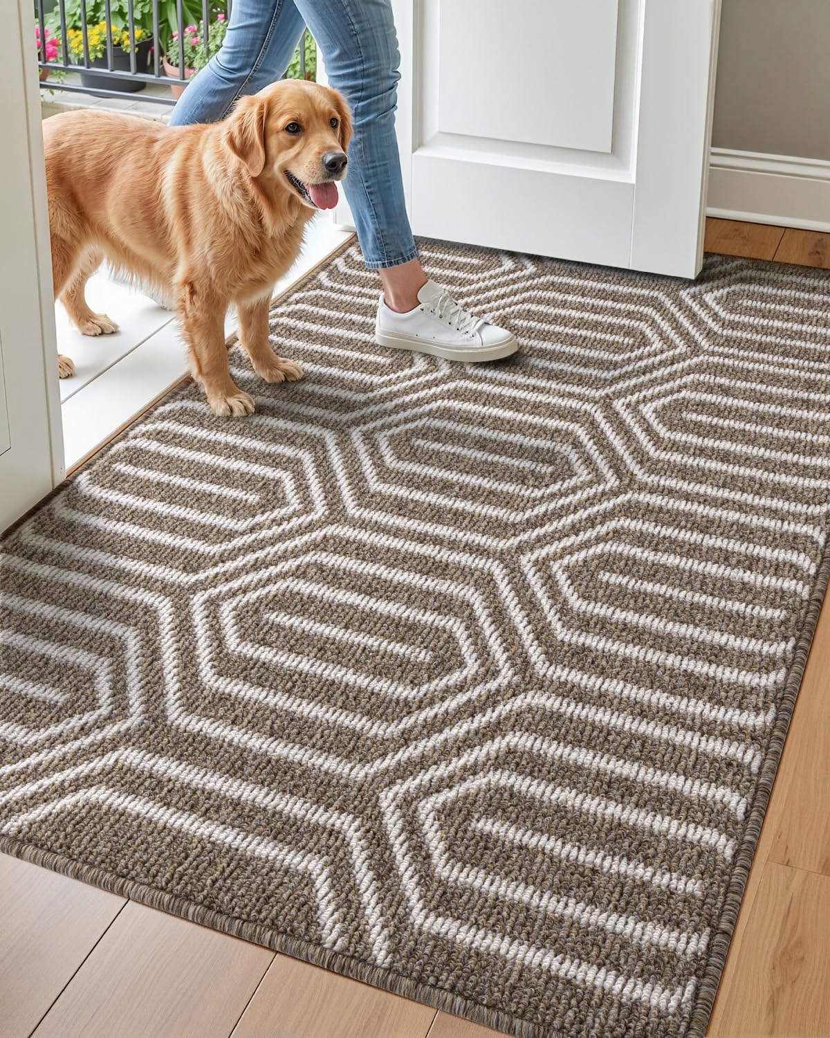 DEXI Non Slip Washable Low-Profile Entry Doormat for Home
