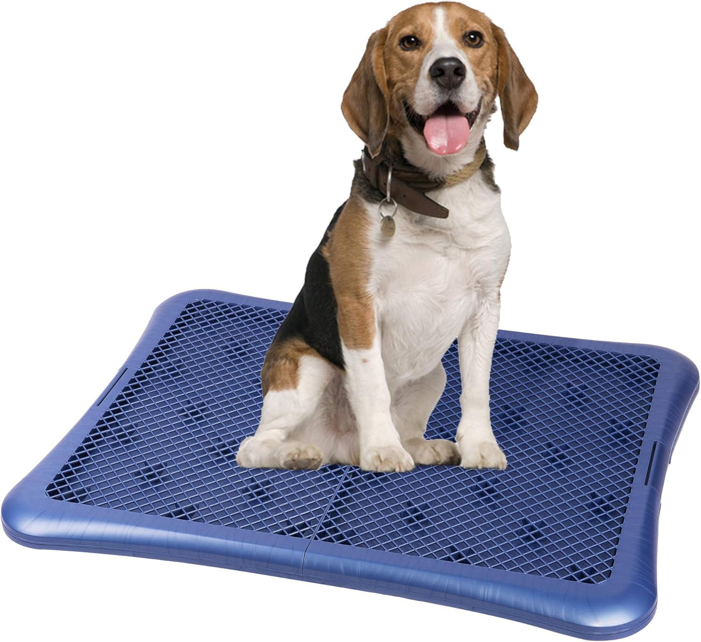 Petphabet Pee Pad Holder for Large Dogs - Secure Potty Tray