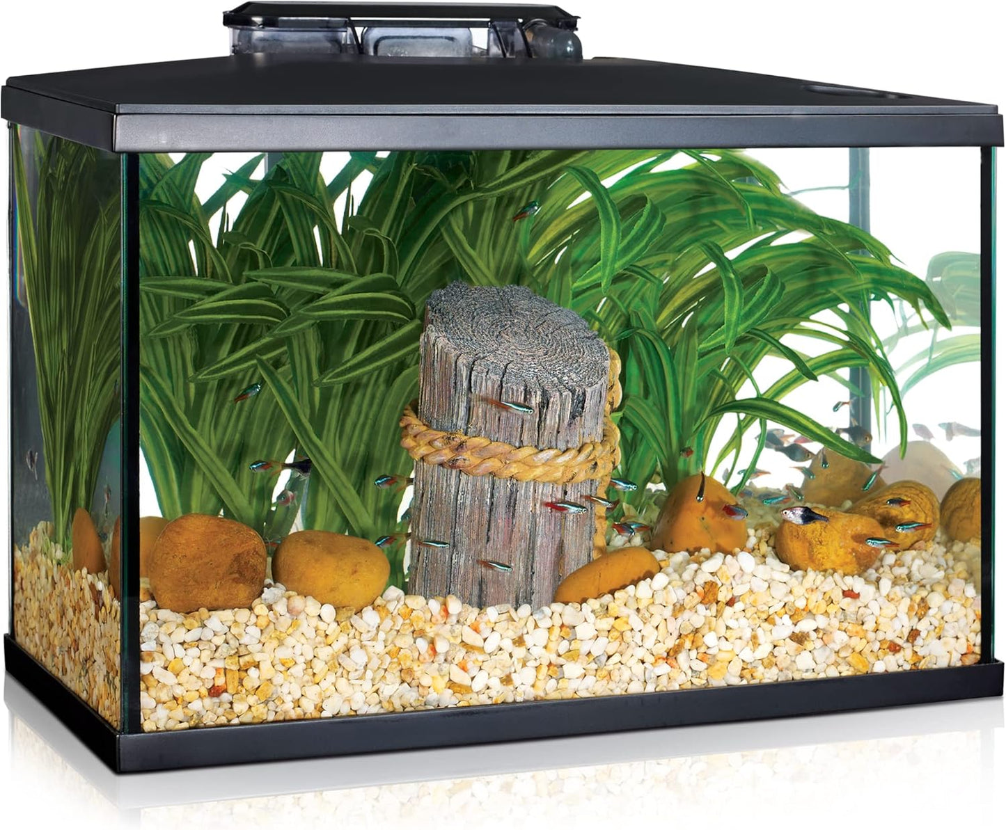 Marina 5 Gallon LED Aquarium Kit for Beginner Aquarists