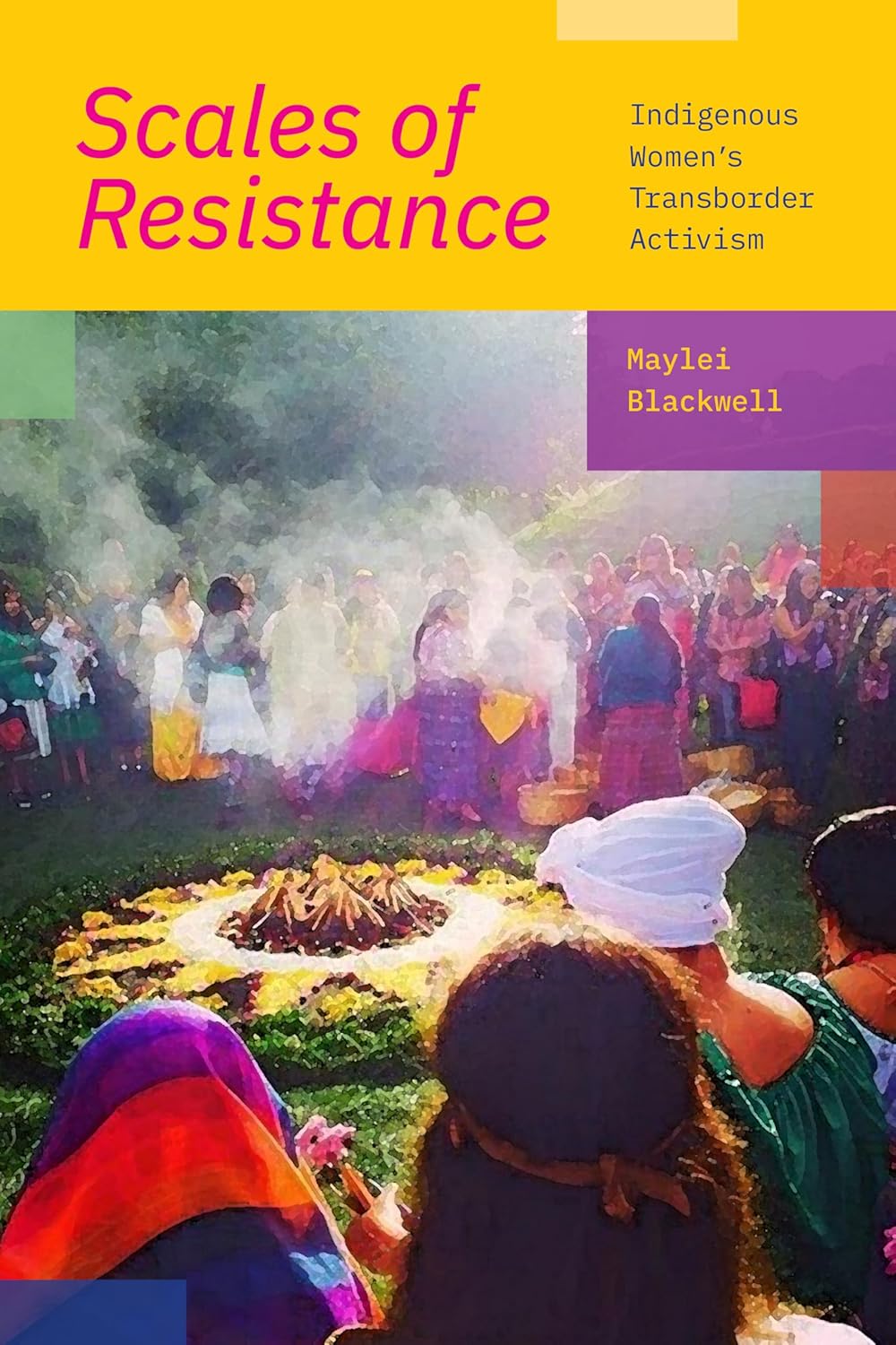 Scales of Resistance: Indigenous Women's Transborder Activism Review