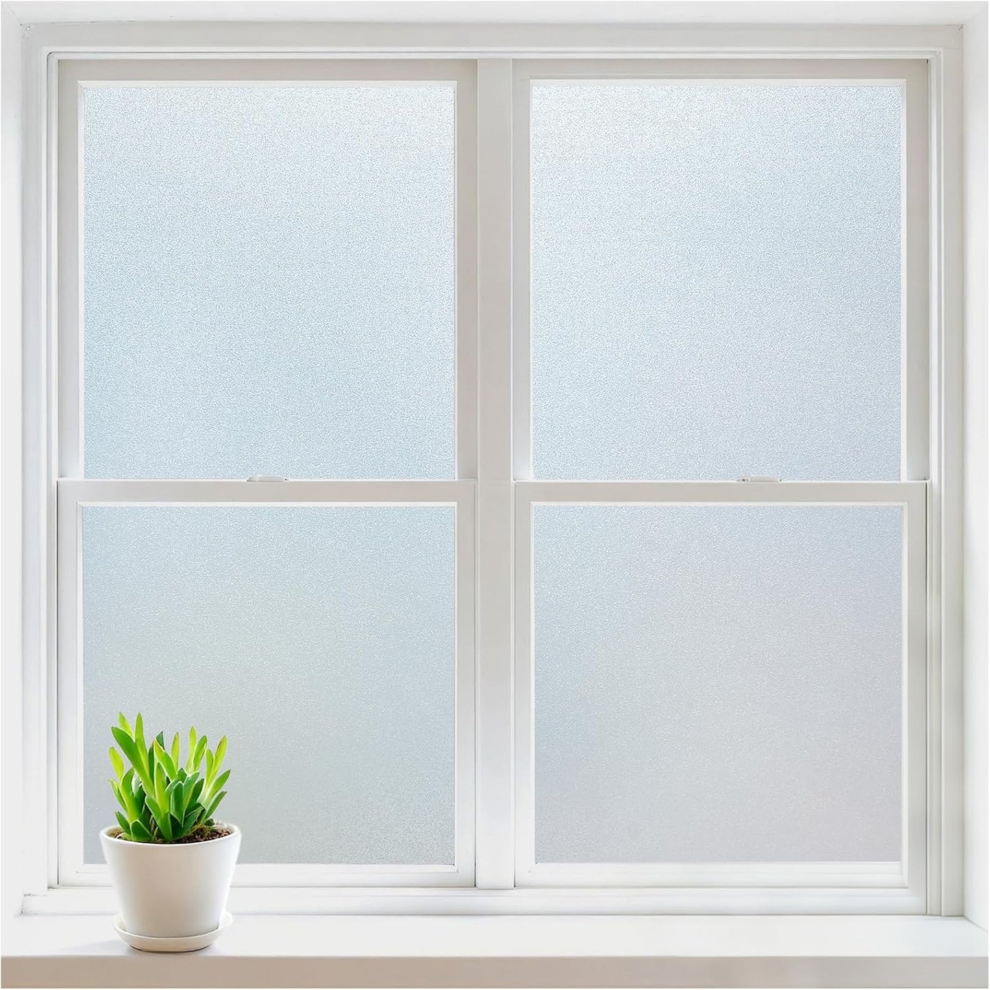 Frosted Glass Window Clings for Privacy and UV Protection