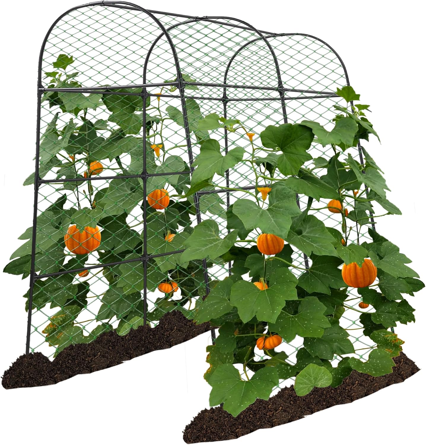 Garden Arch Trellis for Climbing Plants - 7.2 ft Tall Support