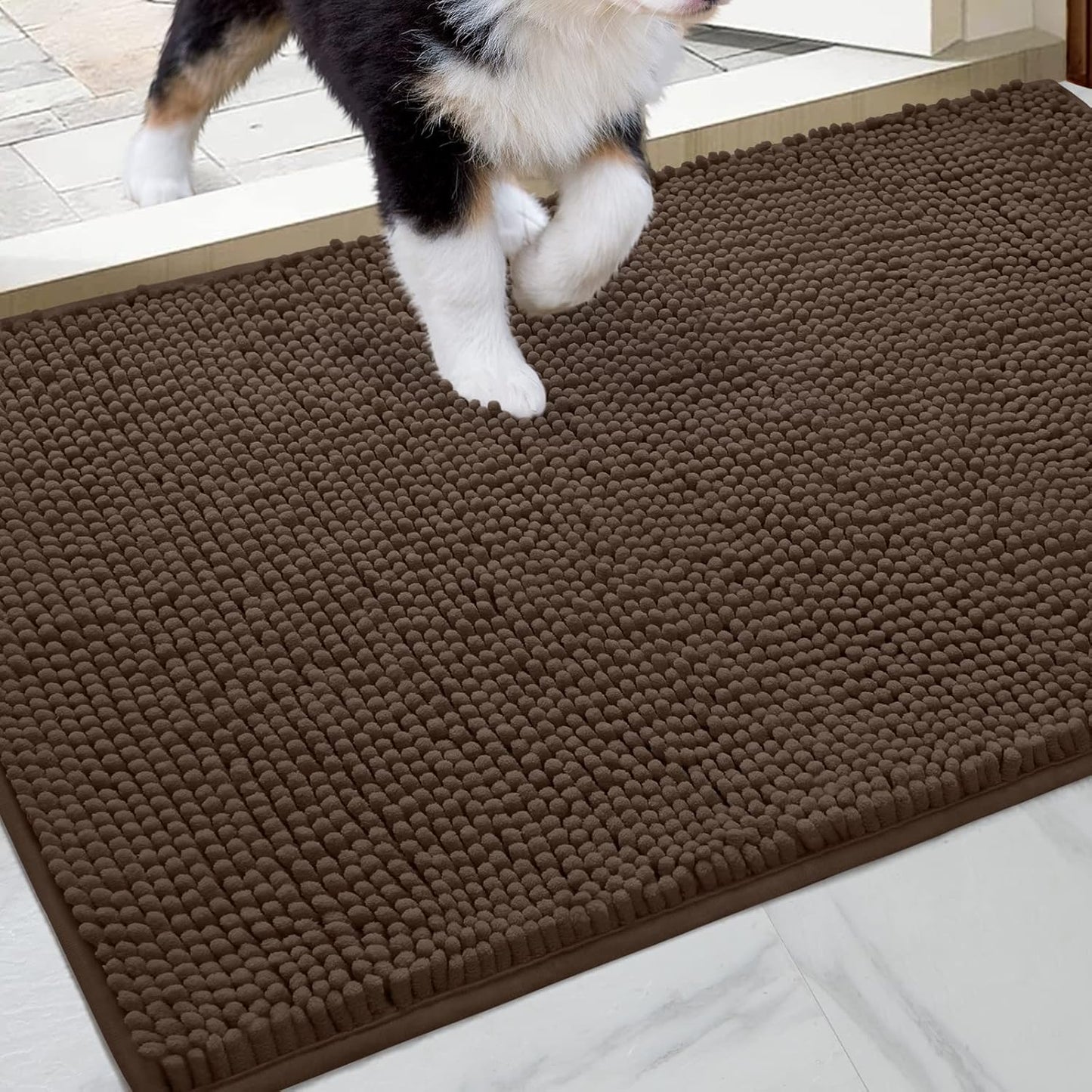 HOMEIDEAS Doormat Indoor Entrance for Muddy Shoes and Pets