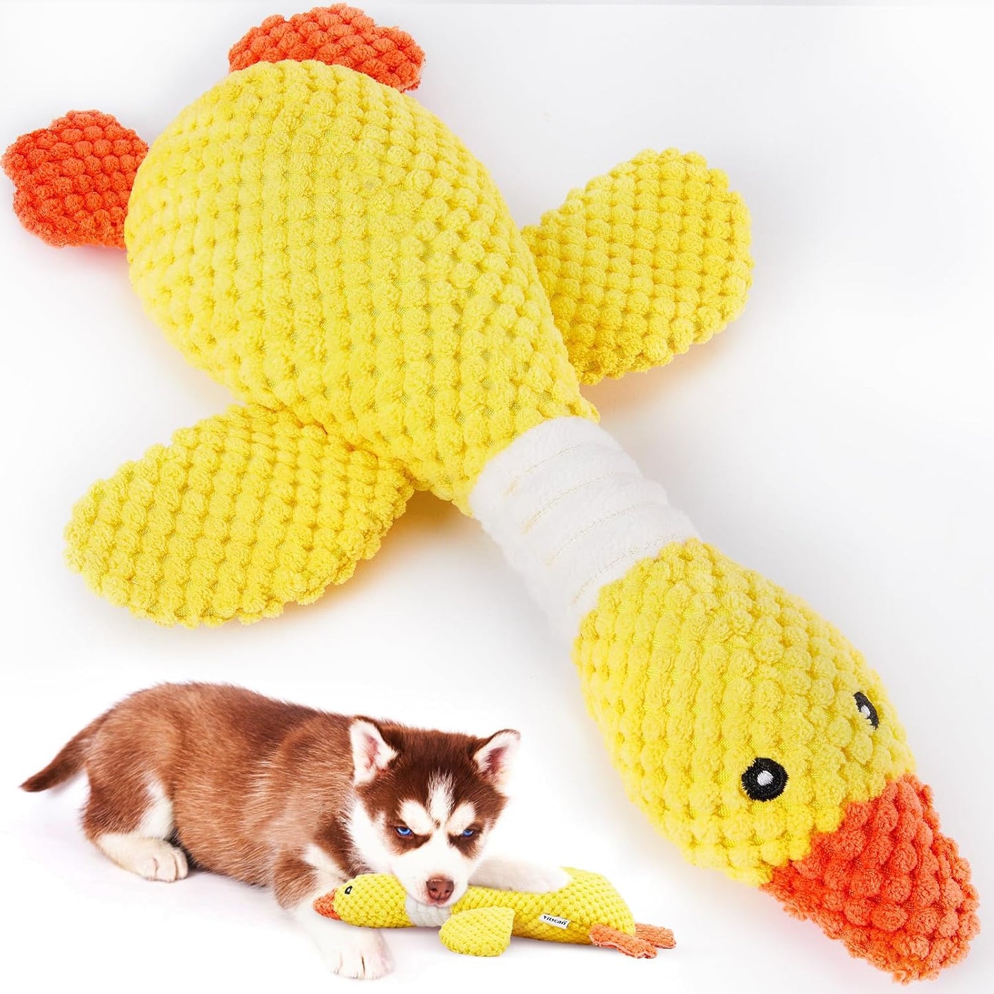 Indestructible Squeaky Dog Toy by Vitscan