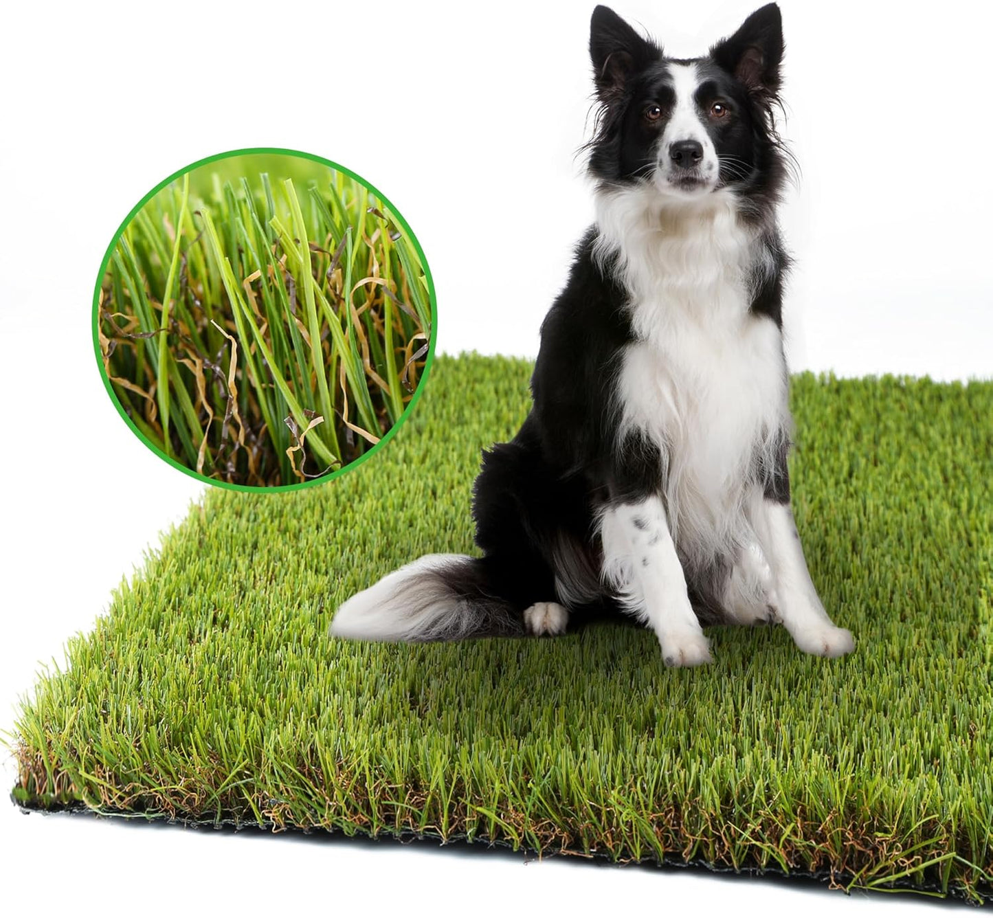 Artificial Grass Turf for Dogs - Perfect Potty Training Solution