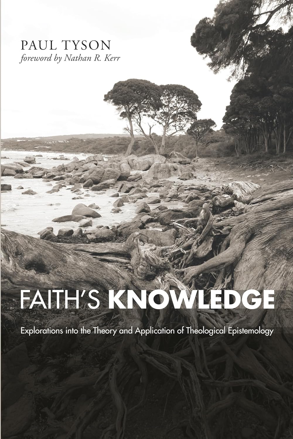 Faith's Knowledge: Theological Epistemology Insights by Paul Tyson