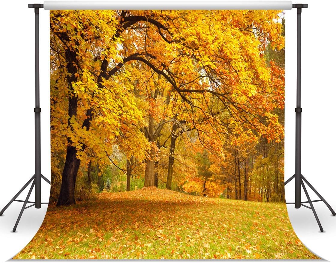 10x10ft Fall Picture Backdrop with Yellow Leaves for Photography