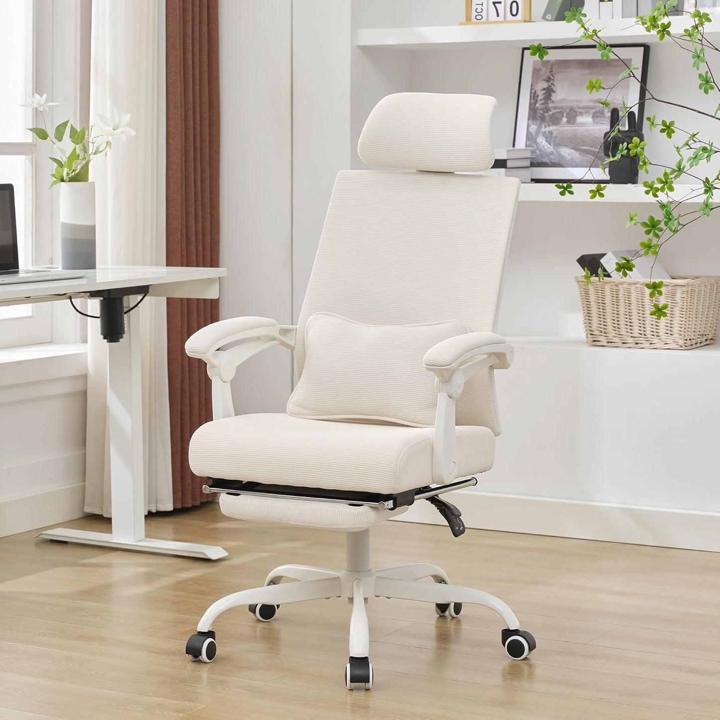 Okeysen Ergonomic Office Chair ~ Lumbar Support