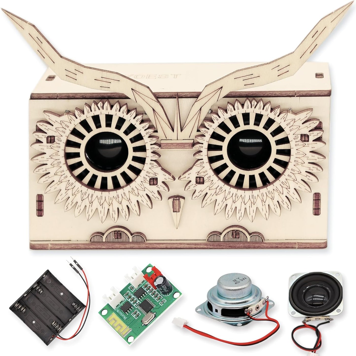 DIY Bluetooth Speaker Kit - STEM Science Fun!
