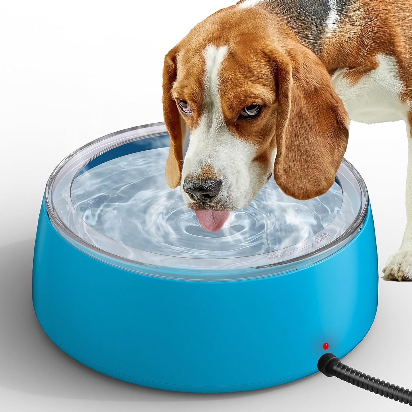 Outdoor Heated Pet Water Bowl - Keep Pets Hydrated!