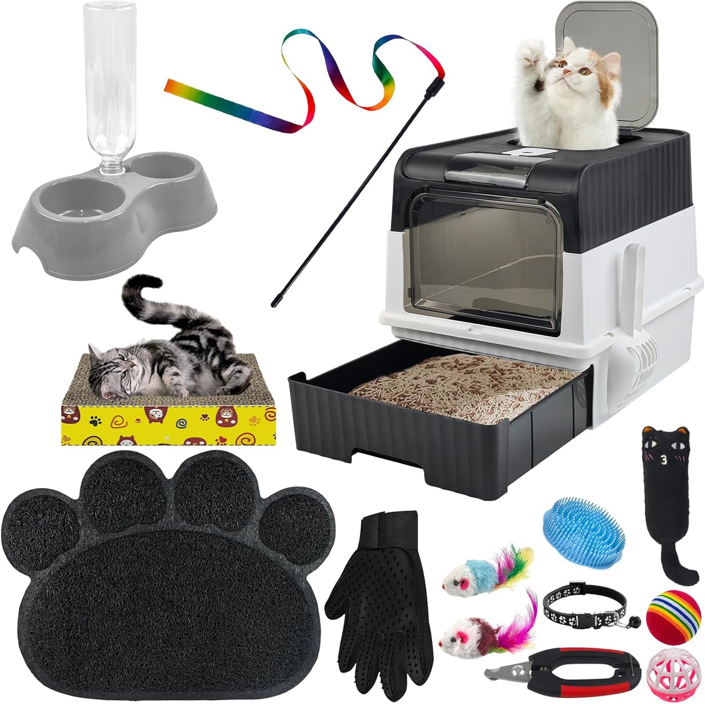Ultimate Kitten Starter Set: 15 Essential Items for Happy Cats