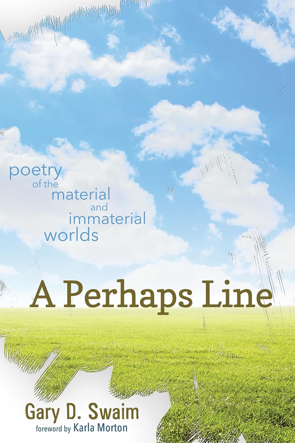 A Perhaps Line: Poetry of the Material and Immaterial Worlds Review
