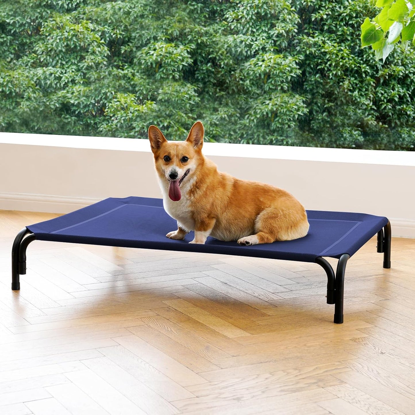Elevated Dog Bed for Medium Dogs - Cooling Raised Cot Design