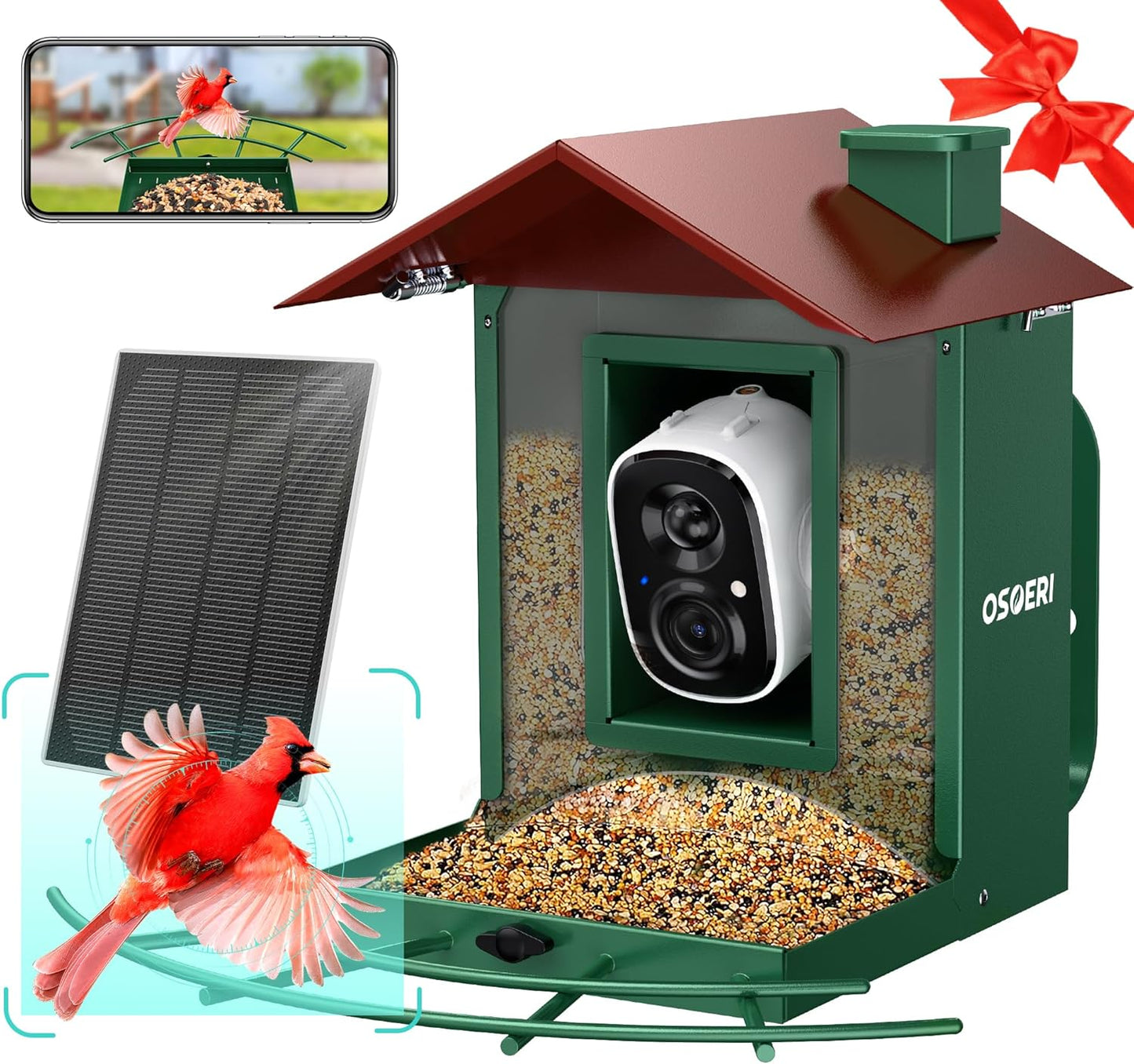 AI Bird Feeder with Camera - Watch Live Action!