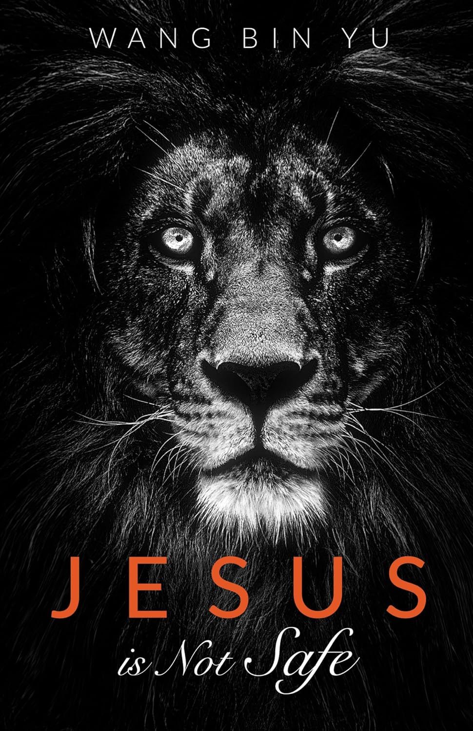 Jesus Is Not Safe: A Provocative Exploration of Faith
