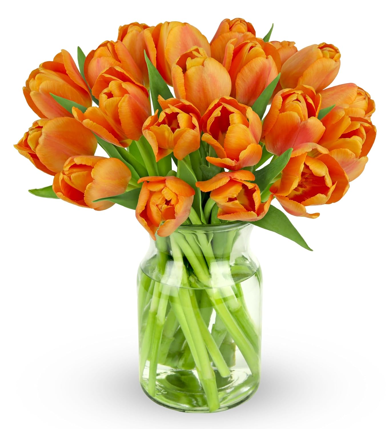 20 Stem Orange Tulips in Glass Vase for Any Occasion Gift