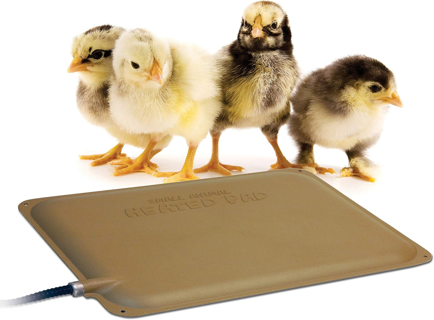 Petite Heated Chick Pad - Coop Safety & Comfort