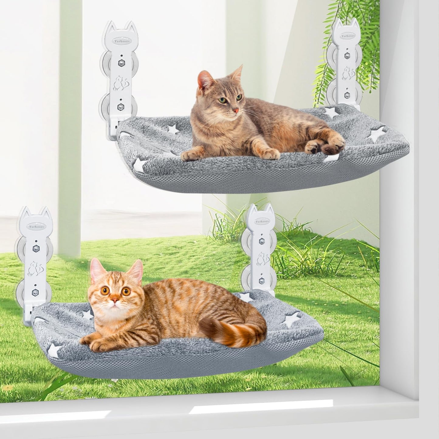 2 Pack Cat Window Perch with Glow in The Dark Design for Cats
