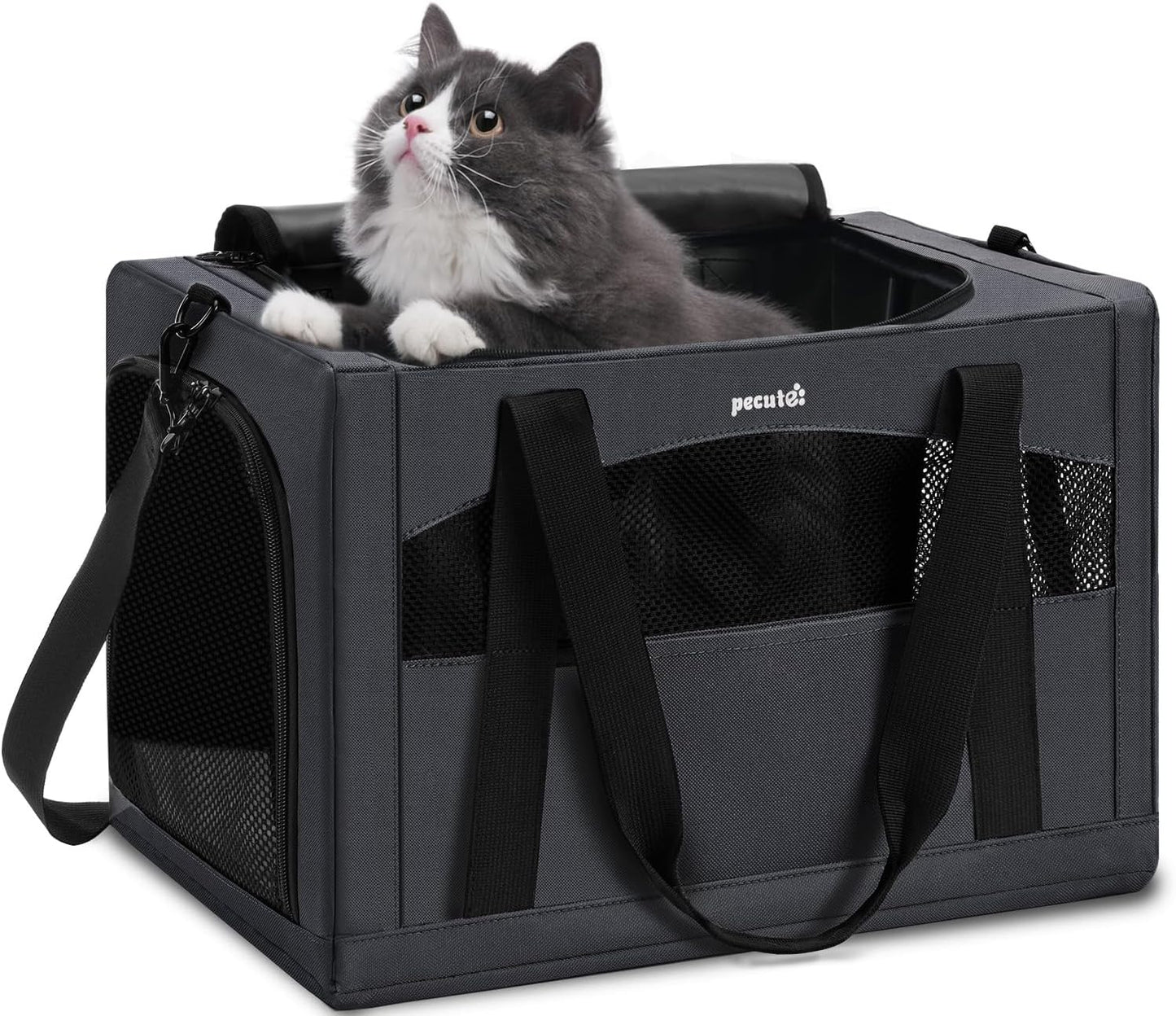 Pecute Cat Carrier: Breathable, Portable, and Safe for Travel