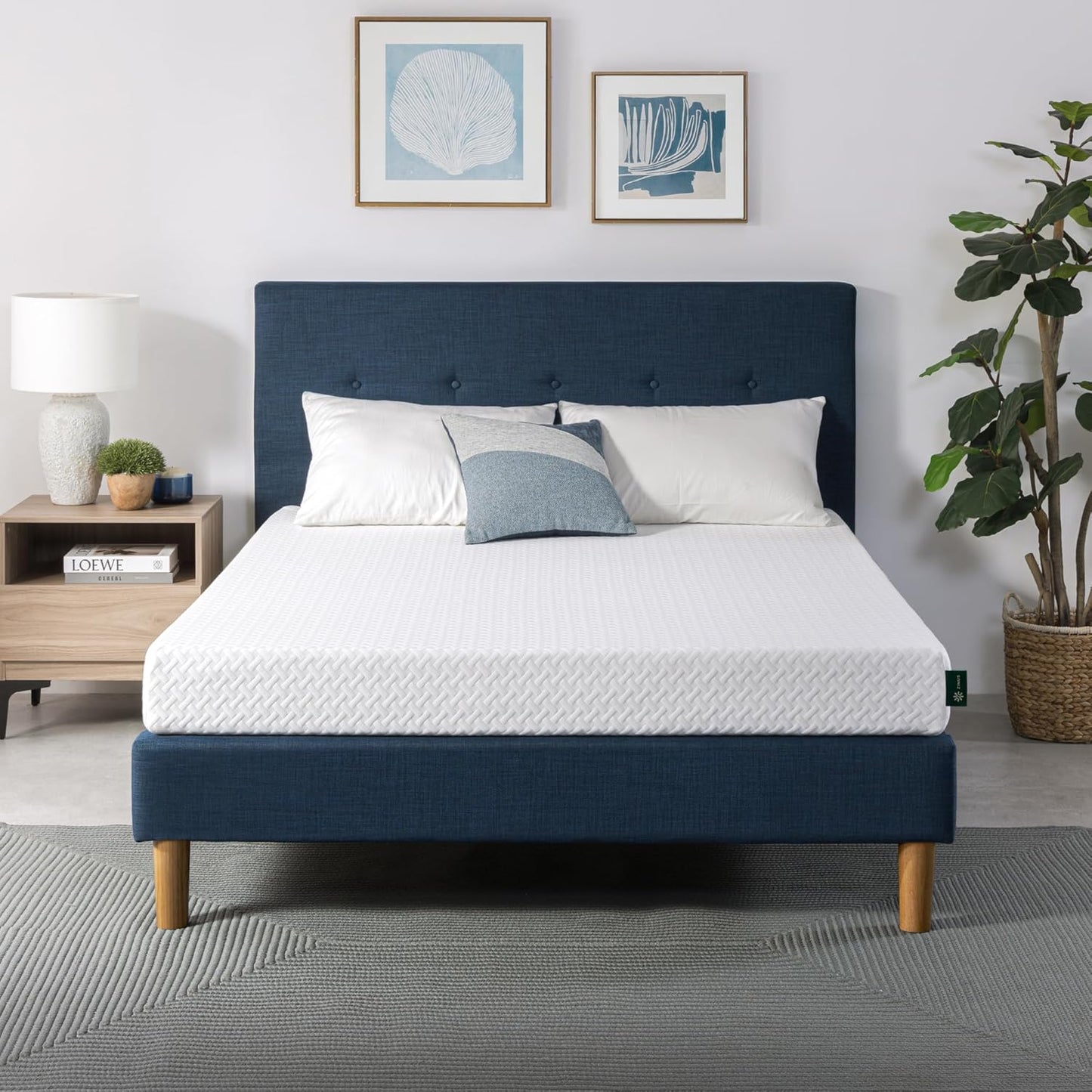 ZINUS 6 Inch Queen Cooling Essential Memory Foam Mattress Review