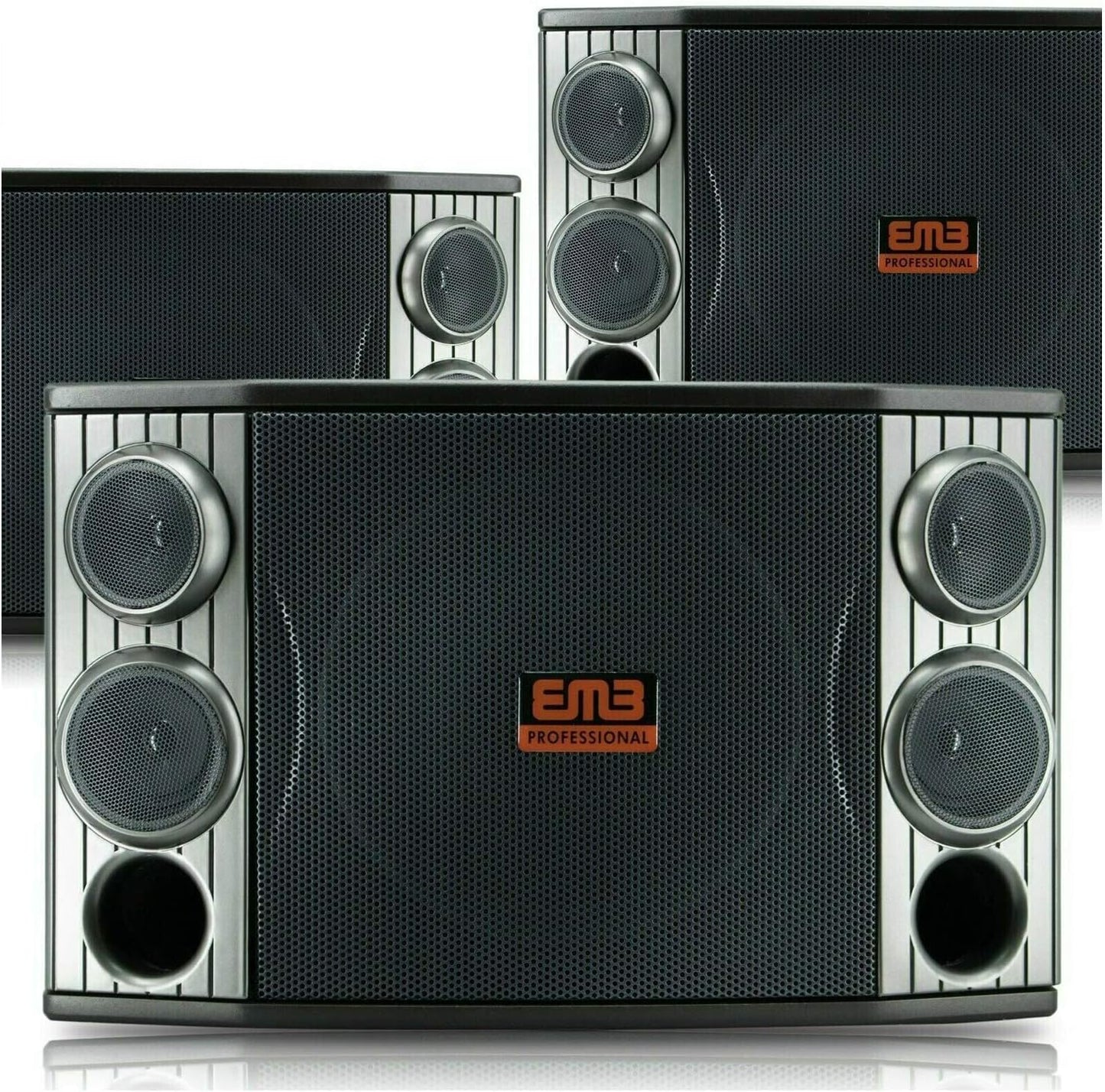 EMB KTV800 800W 10in 3-Way Karaoke Speaker with Bass Reflex