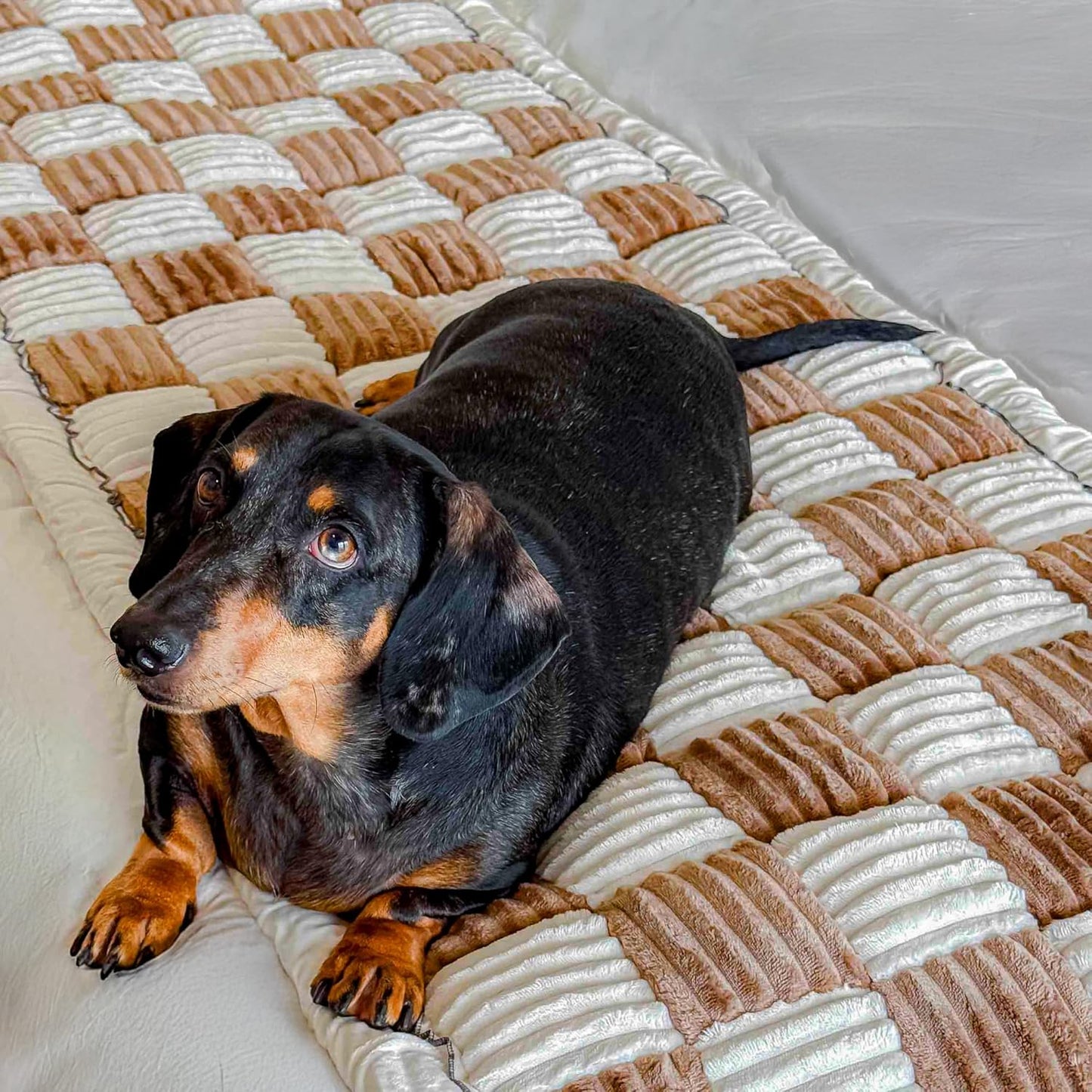 Cattasaurus Washable Couch Covers for 3 Cushion Sofa Pets