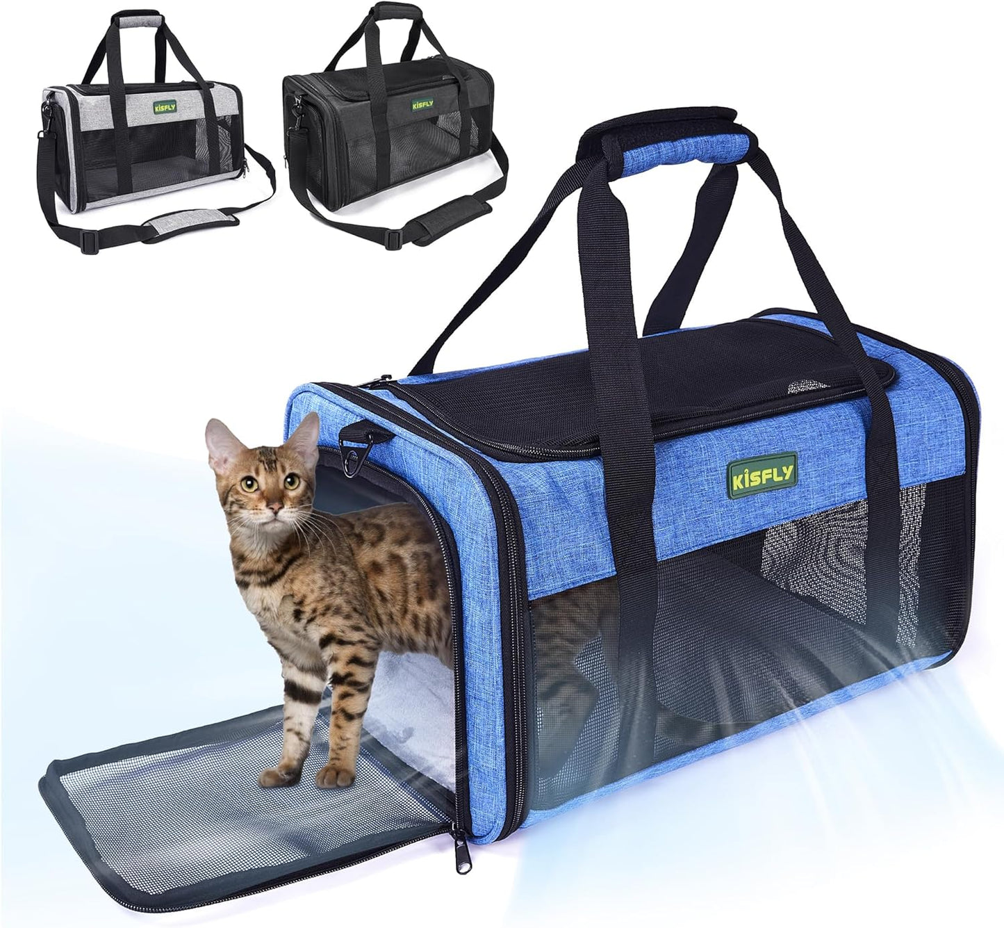 TSA Approved Pet Carrier for Small Cats and Dogs, Blue