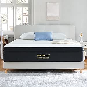 Molblly 12 Inch Hybrid Queen Mattress for Ultimate Comfort