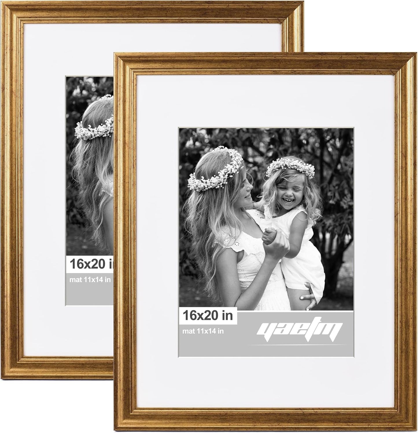 16x20 Picture Frame Set of 2 with Rustic Gold Finish for Wall