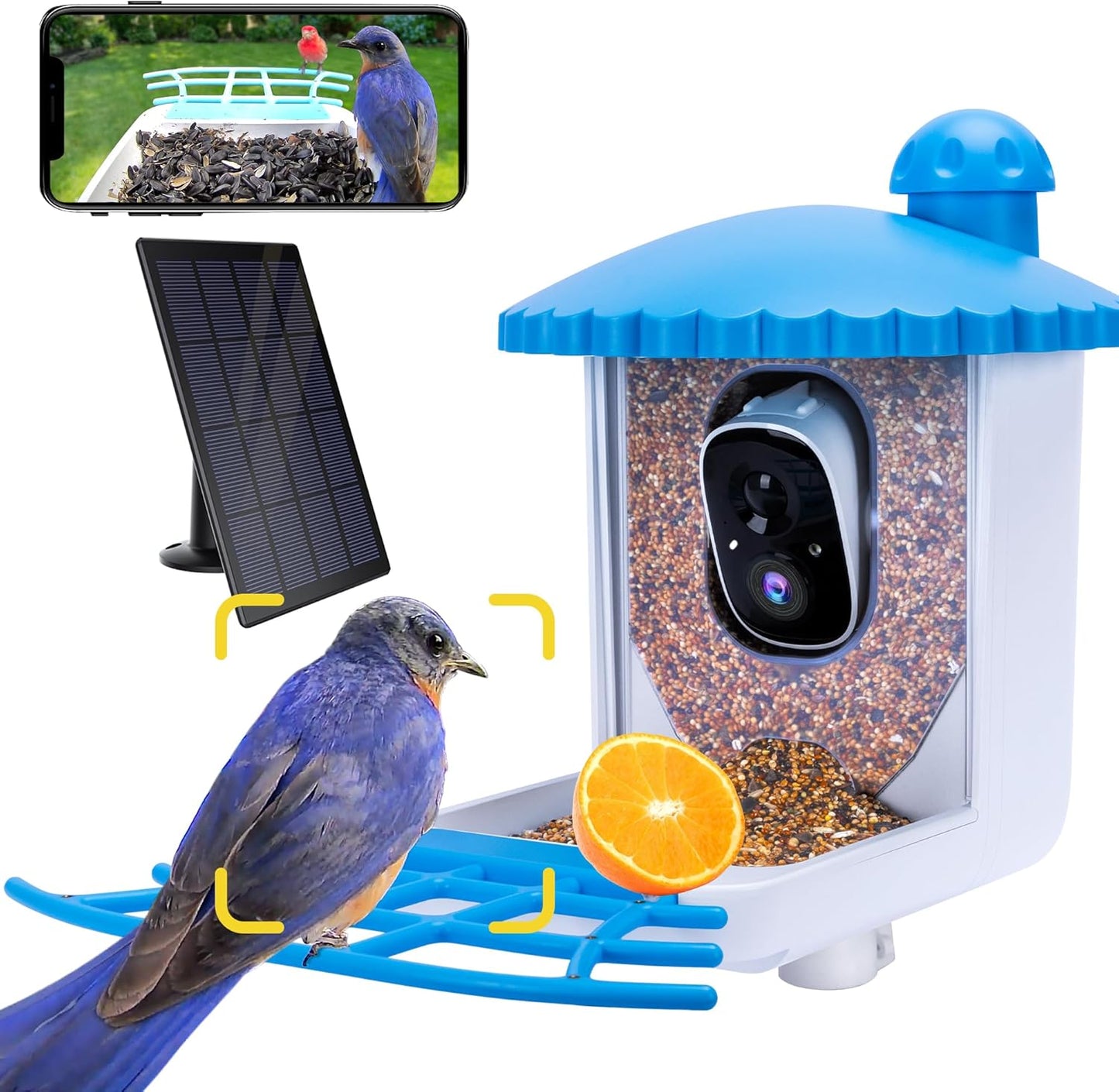 Twesync Bird Feeder: 2K HD Video, Solar Powered, Live View