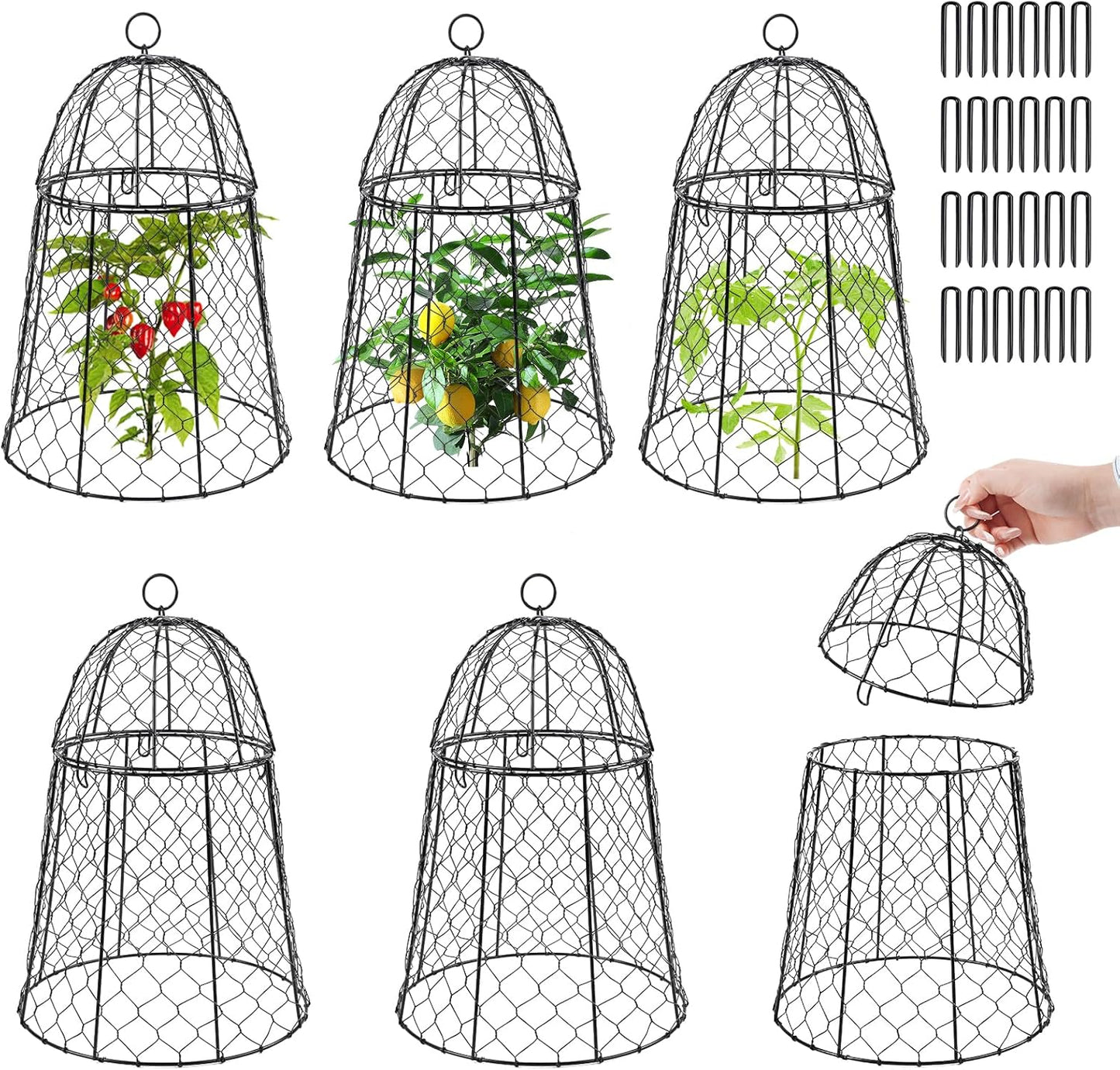 6 Pack Garden Cloches for Plants - Sturdy Animal Protectors