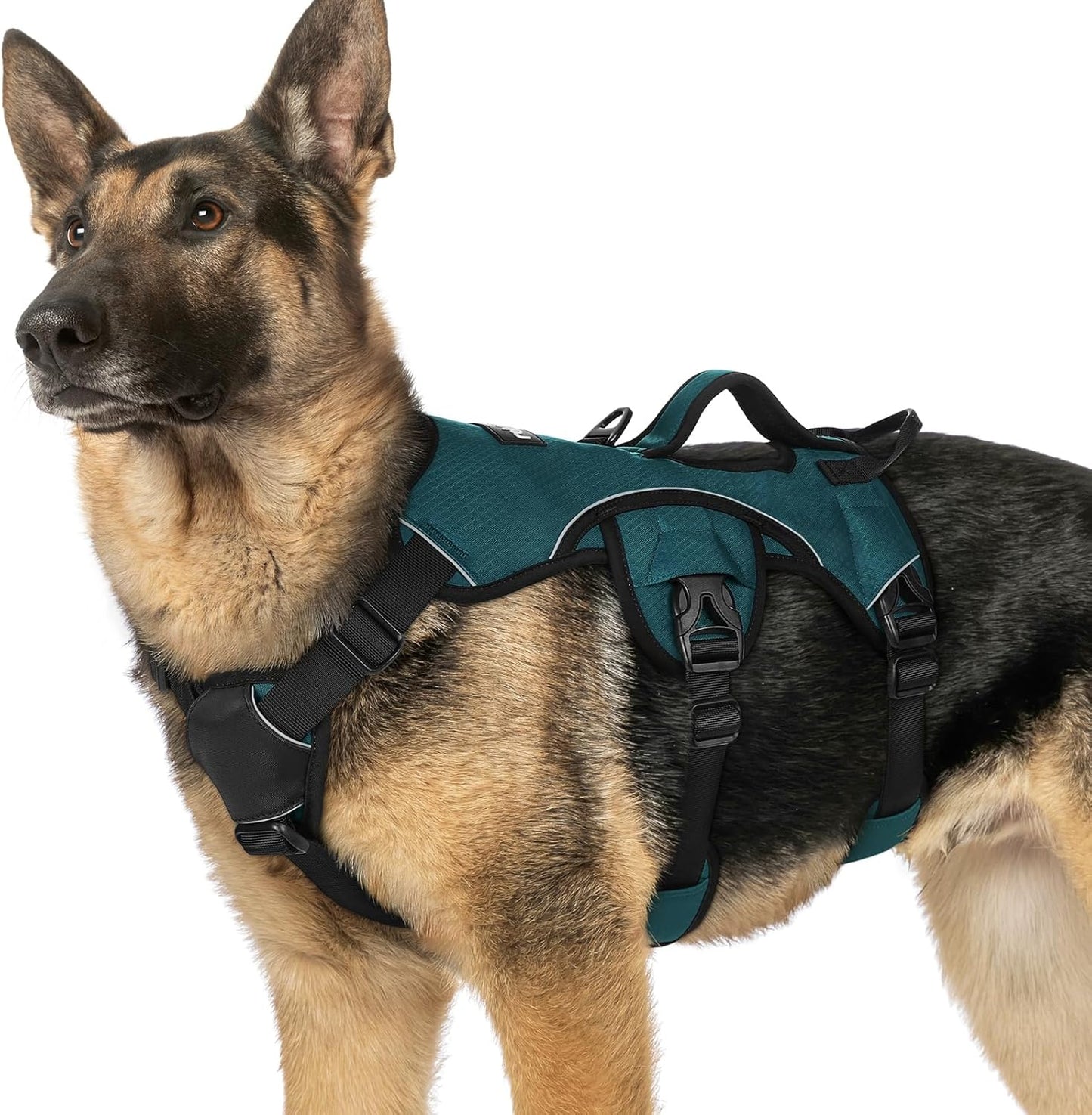 Escape Proof Dog Harness for Large Dogs - Padded & Reflective