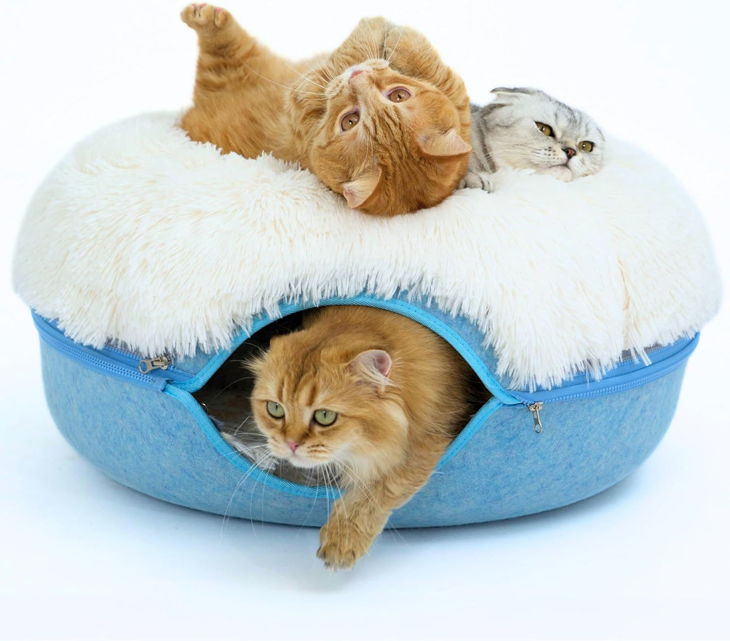 CATTASAURUS Peekaboo Cat Cave for Large Cats & Cozy Beds