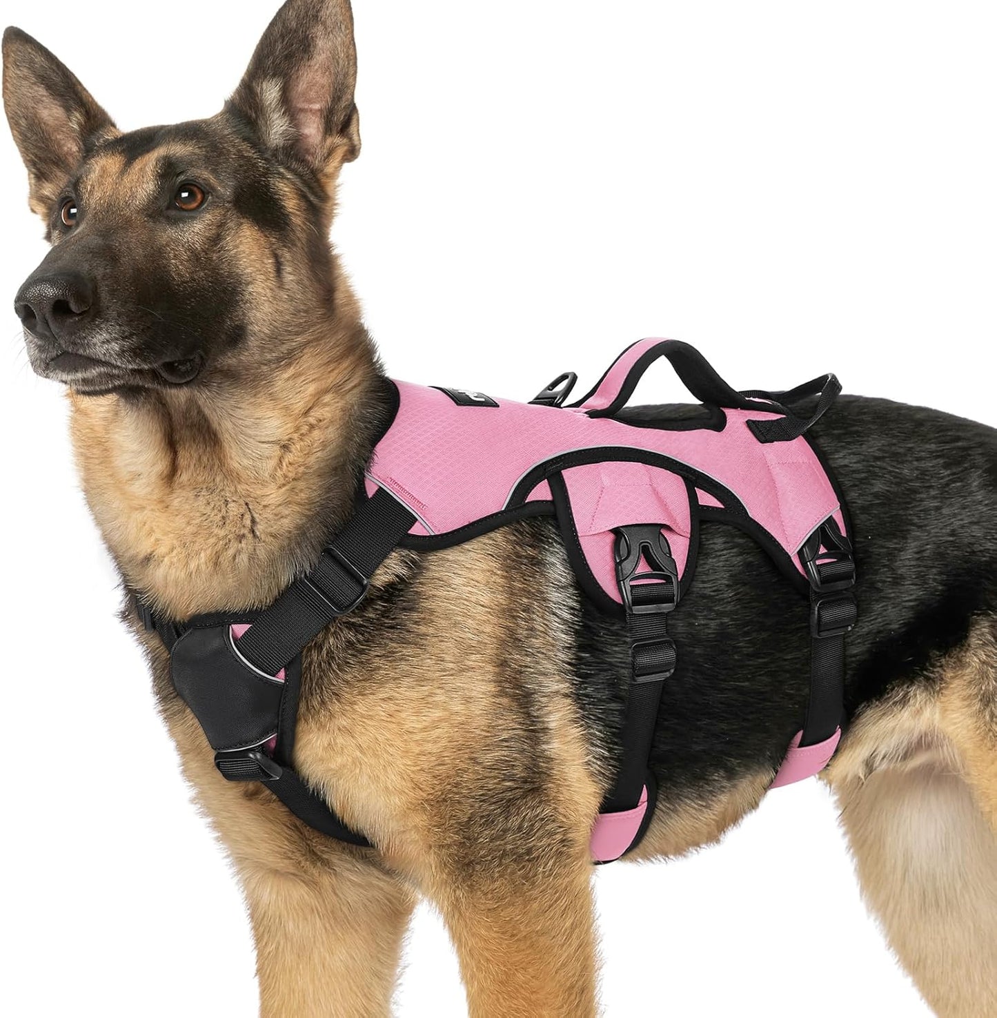 Escape Proof Dog Harness for Large Dogs with Reflective Straps