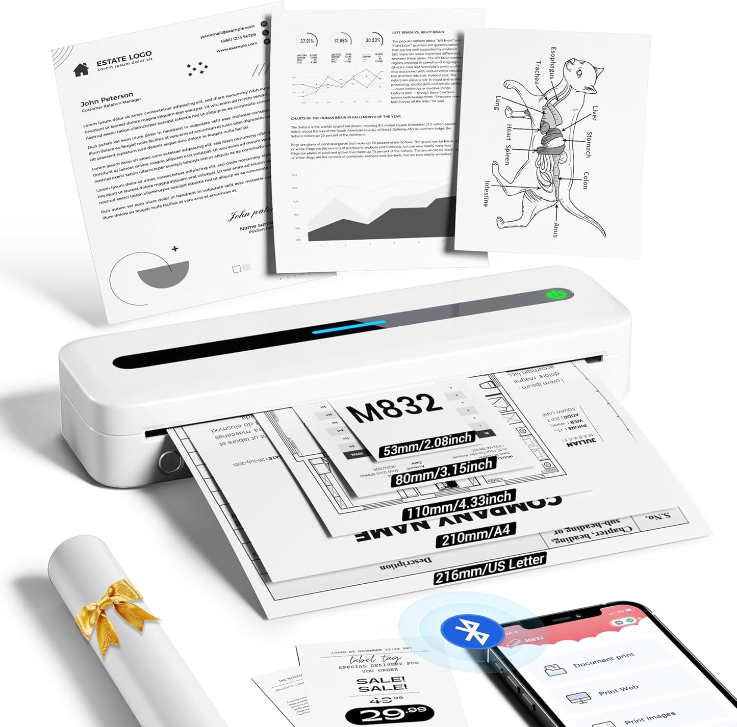 ItriAce Portable Bluetooth Printer - Inkless & Wireless!