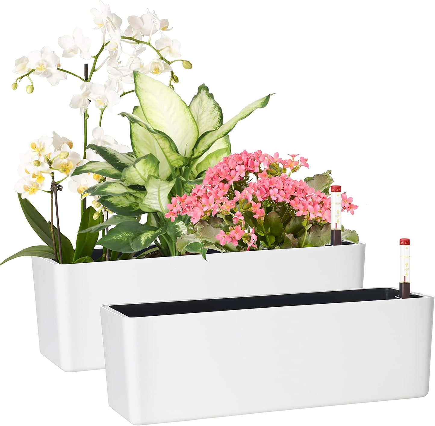 GardenBasix Elongated Self Watering Planter Pots for Home
