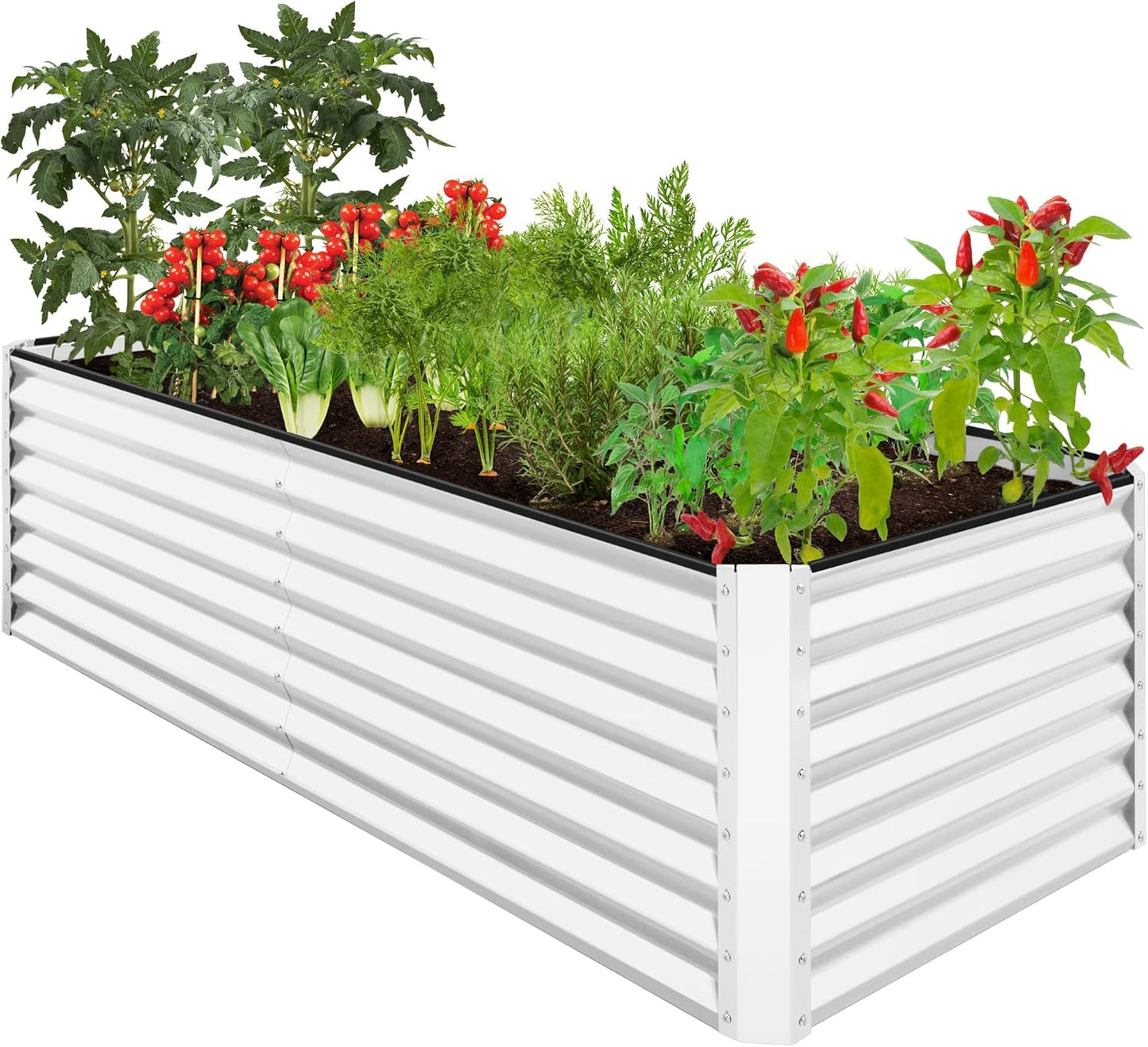 Outdoor Metal Raised Garden Bed for Vegetables and Flowers