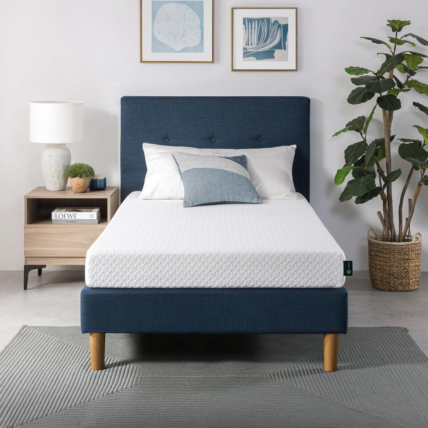 ZINUS 6 Inch Twin Cooling Essential Memory Foam Mattress Review