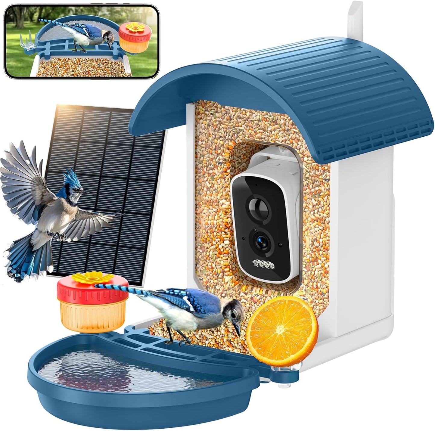 Smart Bird Feeder with Camera and Solar Power for Bird Watching