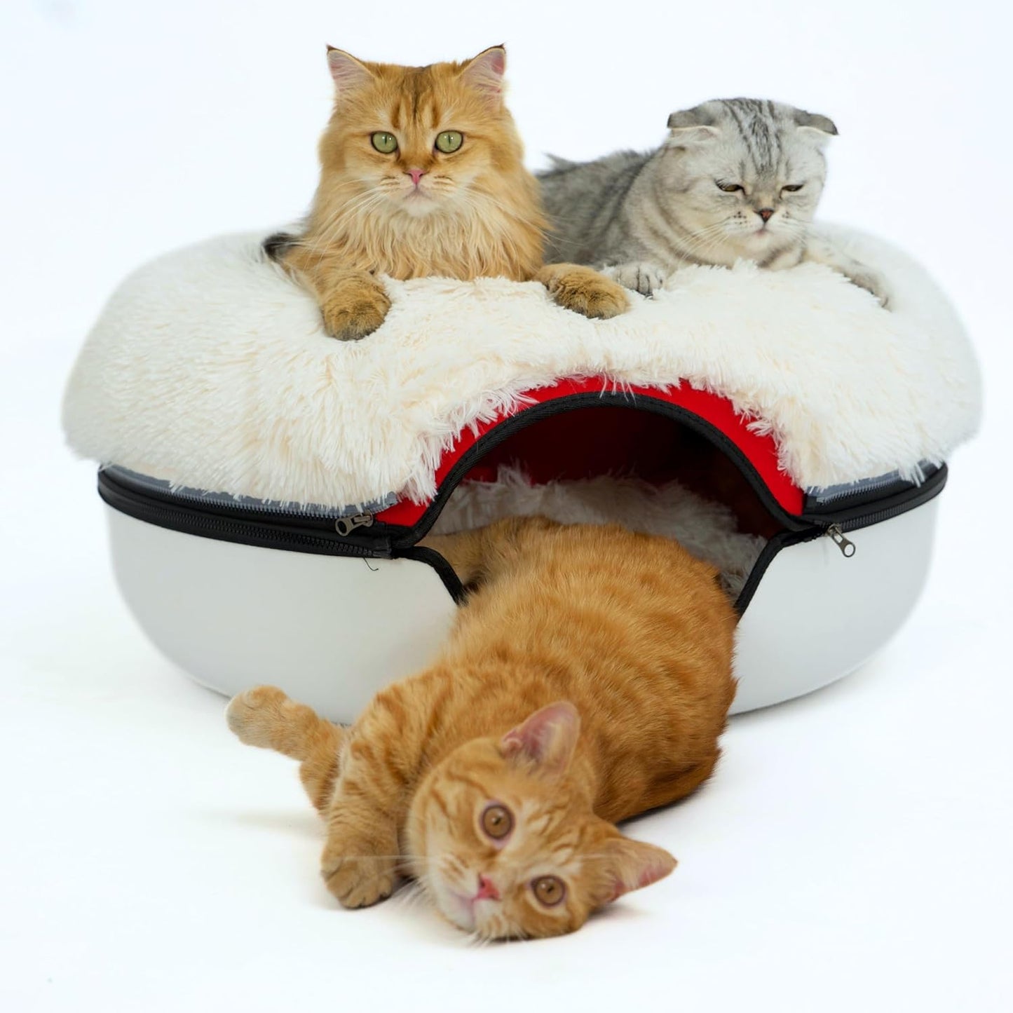 CATTASAURUS Peekaboo Cat Cave for Large Cats & Multi-Pet Homes