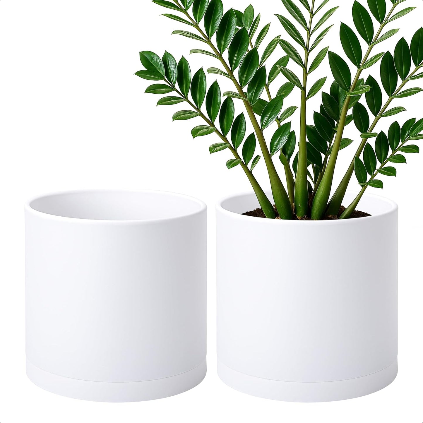 D'vine Dev 10 Inch Modern Plastic Plant Pots for Your Garden