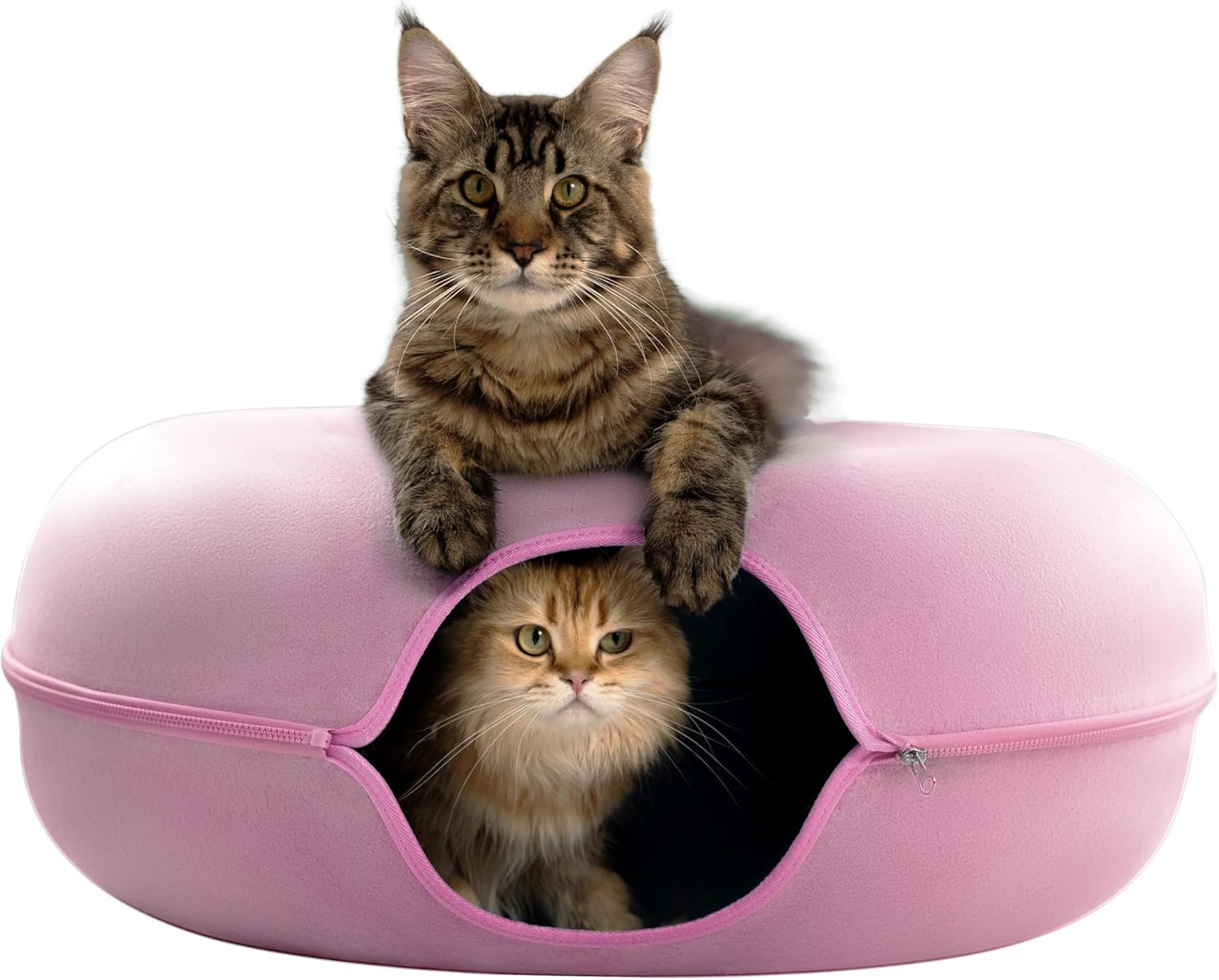 CATTASAURUS Peekaboo Cat Cave for Large Cats & Dogs Up to 45 Lbs