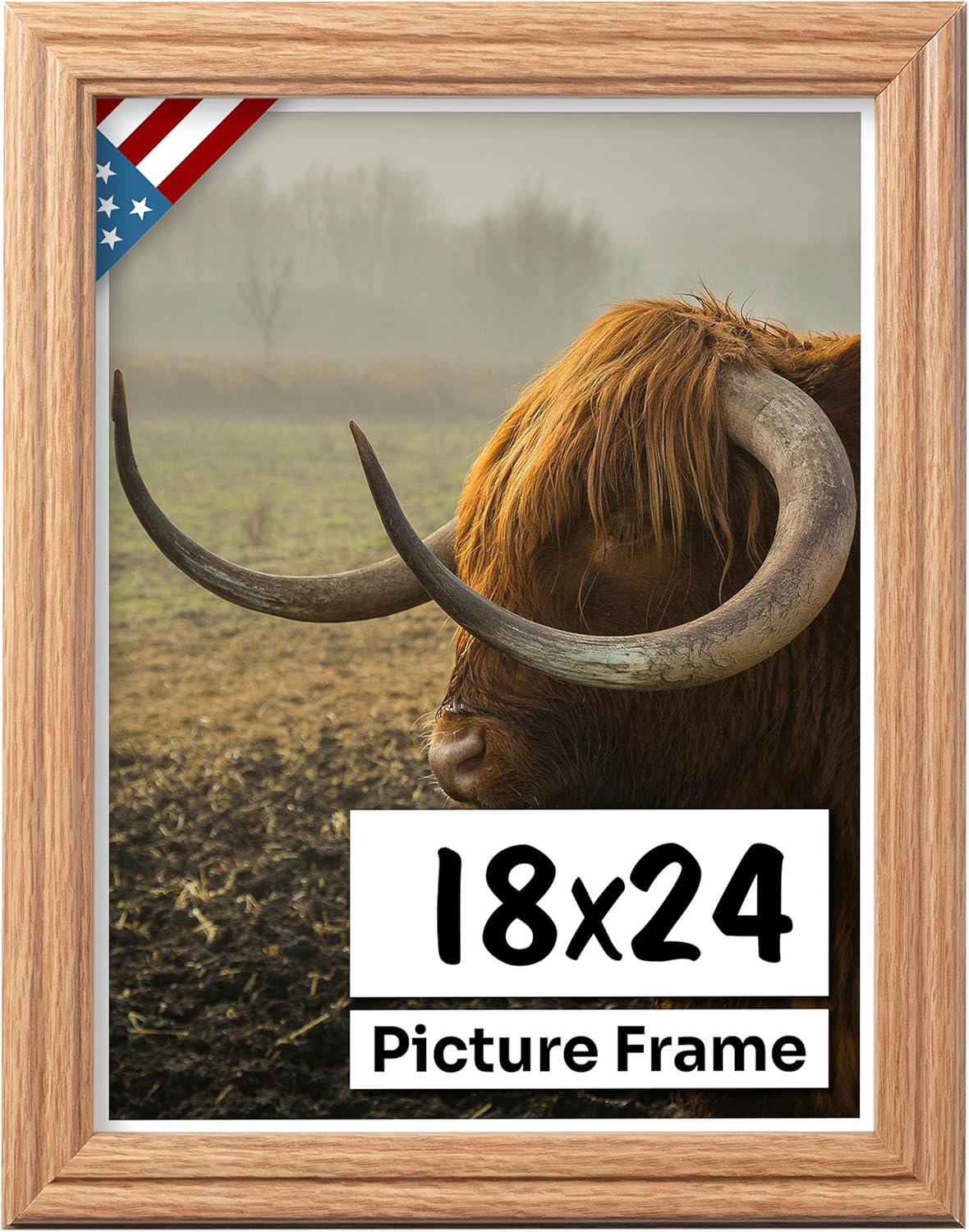 Oak 18x24 Picture Frame with UV-Blocking Plexiglass for Art