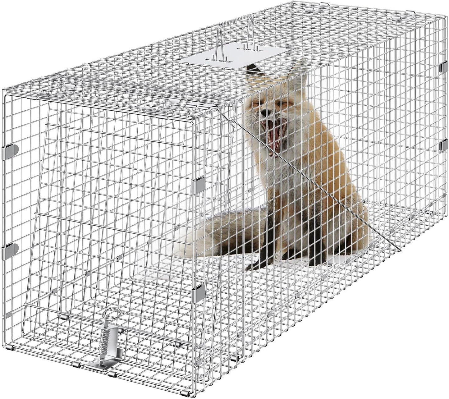 Humane Live Animal Cage Trap for Stray Dogs and Raccoons
