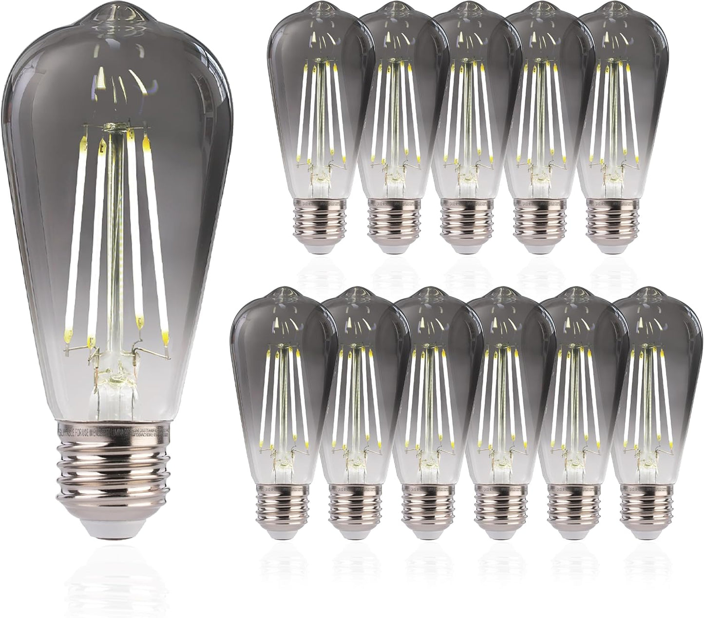 FLSNT LED Edison Bulbs - Dimmable ST19 Smoky Grey Glass 12 Pack