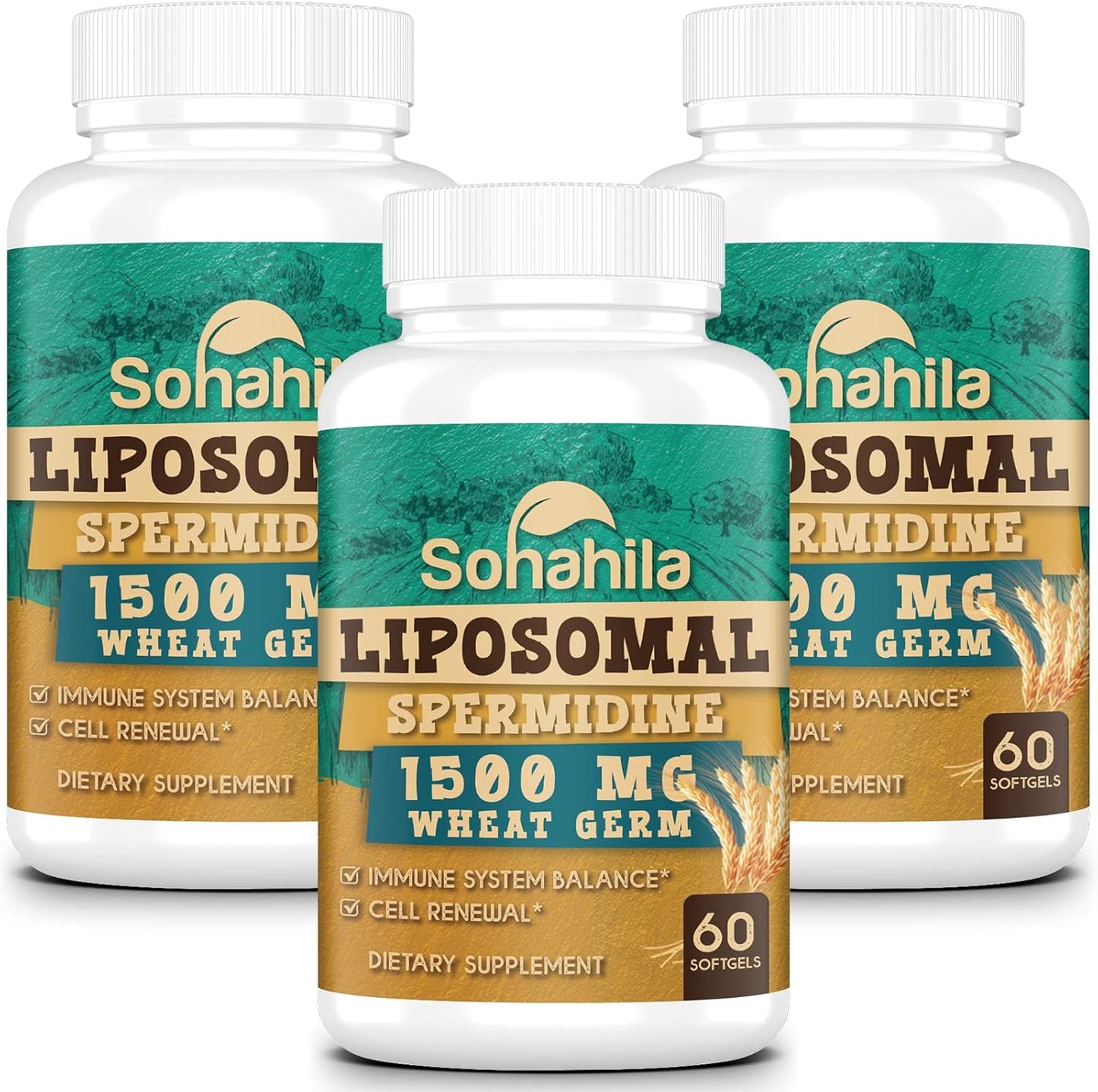 Spermidine Supplement 15 MG for Cellular Renewal and Aging Defense