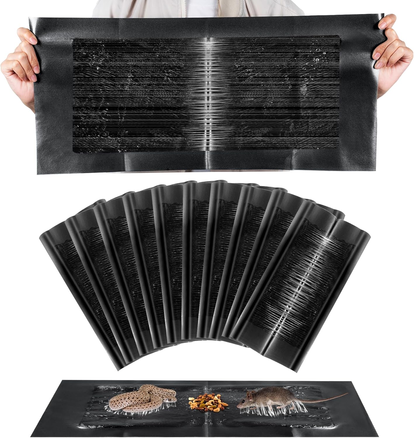 Peanut Scented 10-Pack Mouse Glue Traps by Qualirey