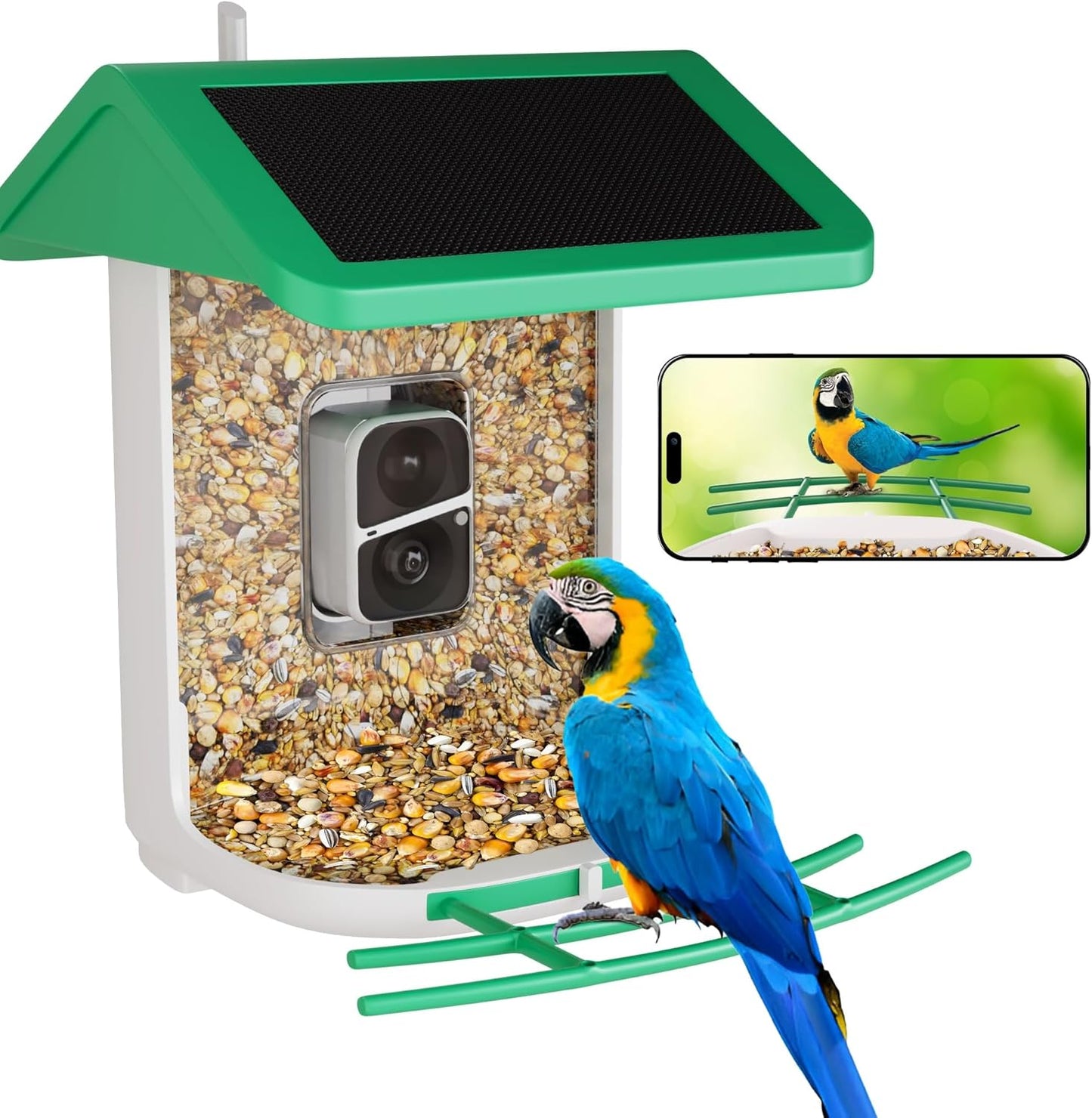 LuvBirdie Smart Feeder: AI Species Recognition, 1080p Video, Night Vision