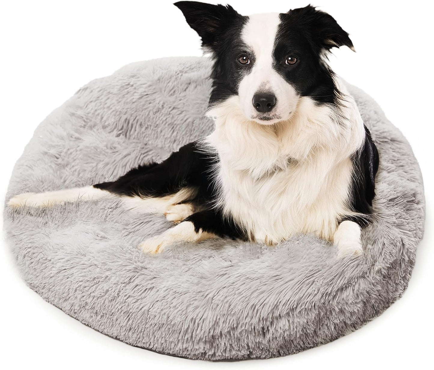 Active Pets Medium Dog Bed for Calming Orthopedic Comfort